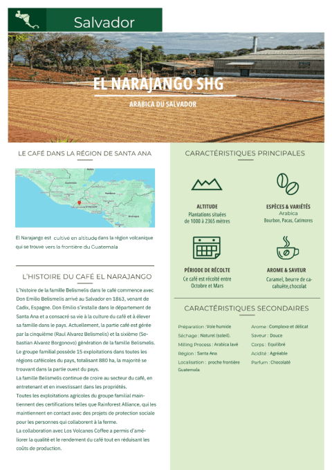 SALVADOR SHG EL NARAJANGO